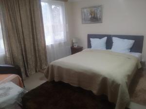 Nino Apartement Zugdidi