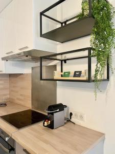 Rosemary - Cosy and warm in the south