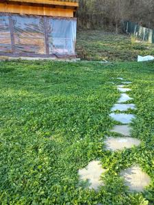 Вила Владислава - стаи за гости