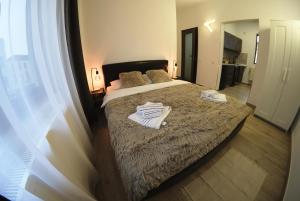 Velaris Downtown Retreat