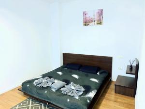 Schei Braşov-Скей Брашов