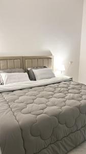 شقة بغرفة نوم وصالة واسعة