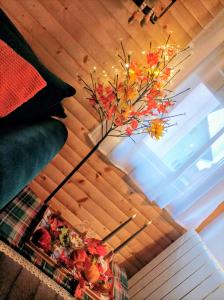 Kuća za odmor-Kućica