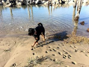 Amazing Beachfront Villa in Newport, Oregon
