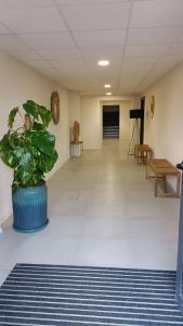 T2 cozy terrasse 40 m2 et pergola