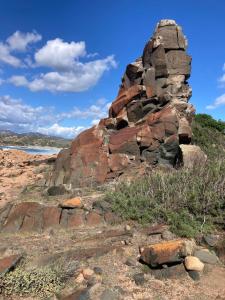 T2 cozy terrasse 40 m2 et pergola