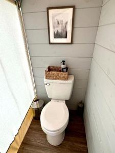 Entire Safari Tents Campground Ideal for Large Groups in Kentucky