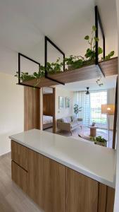 Minimalist and cozy apartment