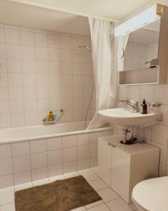 Grosszügige Wohnung Leiterli