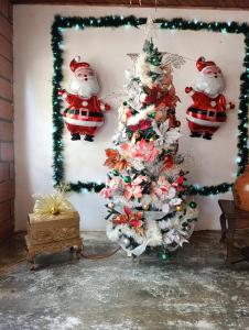 Hostal VILLA JULIANA