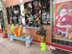 Hostal VILLA JULIANA