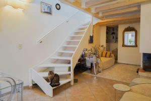 Malmousque City House with Patio & Cat