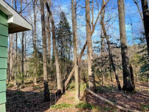 Little House in the Woods