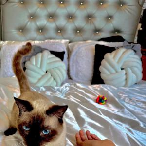 1 Br - Royalty Vacation - Edsa Makati