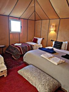 Tasnim Désert Camp & Activités