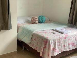 Ap Inteiro Por do Sol Foz do Iguaçu