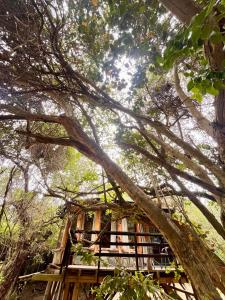 Reserva los Bollenes