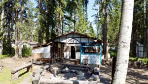 Mountain View Cabins