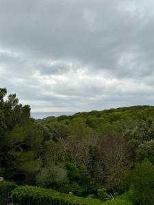 Appartamento vista mare