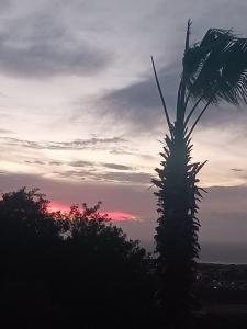 Appartement Michele Vue sur Mer pour les familles