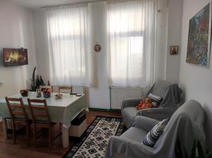 Little Bear Busteni 3