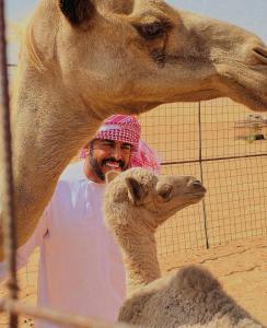 Private Bedouin Tent Al Badri
