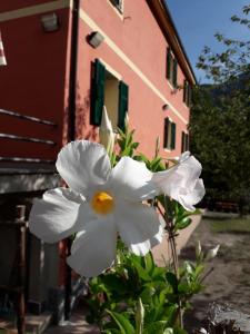 Villa Bella bed and breakfast