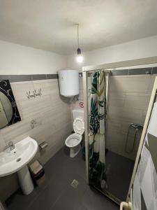 Bujtina Pllumi Theth