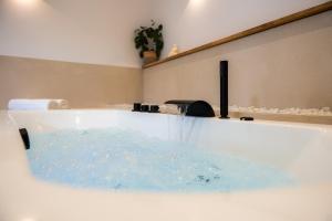 Sublime Loft avec Spa Privatif & Sauna, Hyper Centre, Parking facile