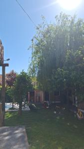 El sauce solo familia