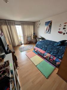 Luxury apartment, Las Condes loft duplex