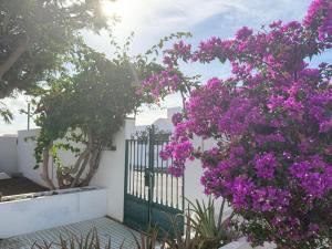 Lanzarote Lovers