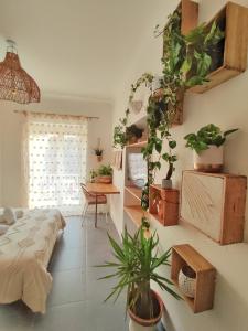 Studio Jungle Bohème - à 3 min de la Promenade des anglais à pieds