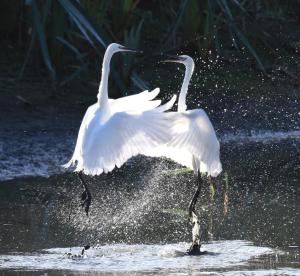 Canal Cottage Rodley Leeds, 5 miles LBA Airport