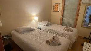 Appartement Duplex Cannes centre