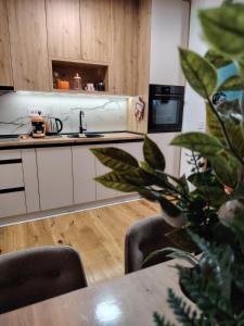 Apartman NIT Zlatibor