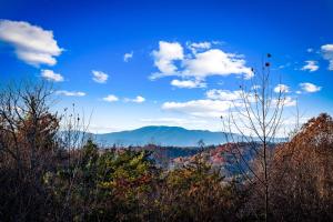 Merlot Chateau - Views, New Hot Tub, Fire Pit, Game Room, Wi-Fi - Mins to Blue Ridge