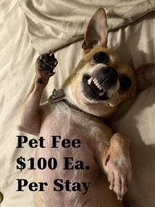 Perfecto Mundo 2, Orlando Area 4BR-2B-Outdoor Pool-Jacuzzi-Billiard