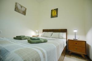 Cozy Apartment Near Holiday Inn