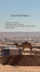 FYAFY Bidiyah Bedouin Camp