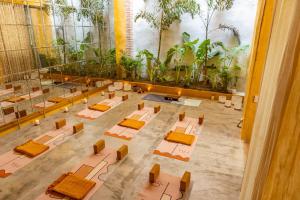Casa Carolina Luxury Wellness Hotel
