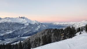 Gemütliche Wohnungen in 300-jährigem Chalet