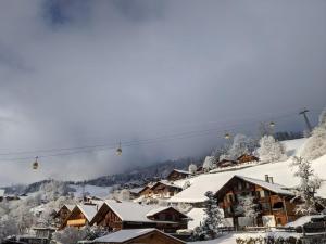 Gemütliche Wohnungen in 300-jährigem Chalet