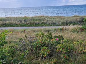 Luxury Retreat with Pool - By Traum Ferienwohnungen