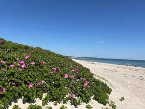 8 person holiday home in Sydals