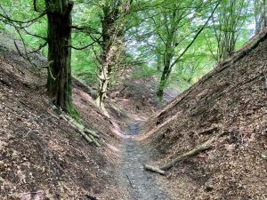 16 person holiday home in Brovst-By Traum