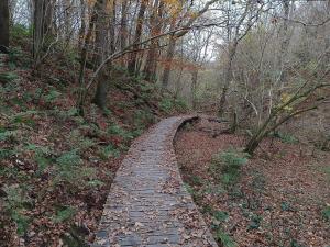 16 person holiday home in Brovst-By Traum