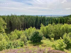 16 person holiday home in Brovst-By Traum