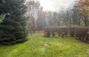 3 Bedroom Beautiful Home In Oksbøl