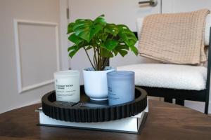 Lux Bronx Apt Rooftop, Pool, Gym, Cinema